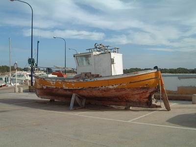 DSCF0108.JPG